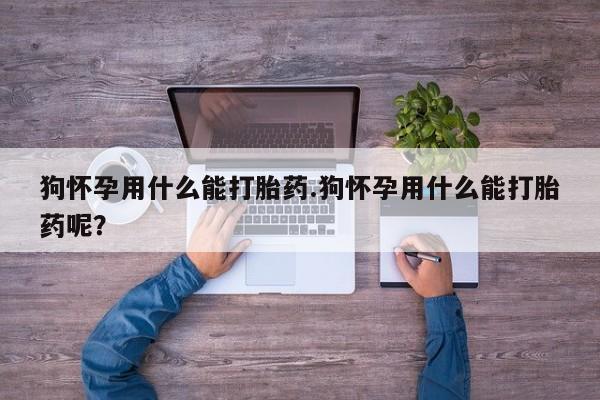 米非米索在线购买微信狗怀孕用什么能打胎药.狗怀孕用什么能打胎药呢？