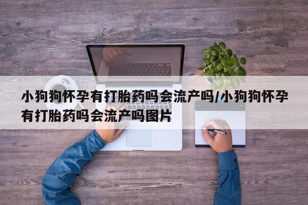 米非米索在线购买微信小狗狗怀孕有打胎药吗会流产吗/小狗狗怀孕有打胎药吗会流产吗图片