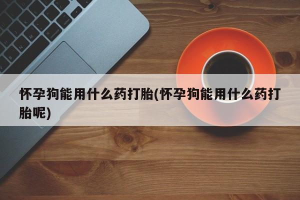 米非米索在线购买微信怀孕狗能用什么药打胎(怀孕狗能用什么药打胎呢)